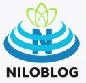 طراحی وب سایت در تبریز